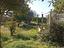 Immagine 25