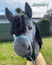 Hobby horse con accessori