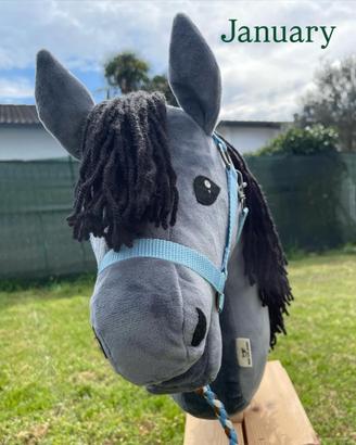 Hobby horse con accessori