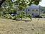 Immagine 11