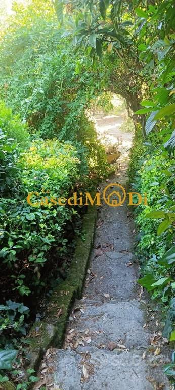 Terreno di 3400 m² a Livorno - Vista 3