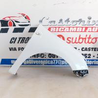 PARAFANGO DX/SX DACIA SANDERO 2012