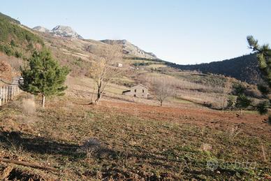 Terreno agricolo
