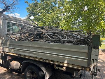 Legna da ardere di olivo