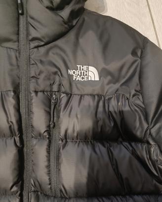giubbotto piumino the North face uomo 