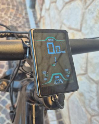 ebike 29