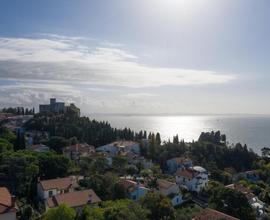 Prestigiosa villa singola in duino