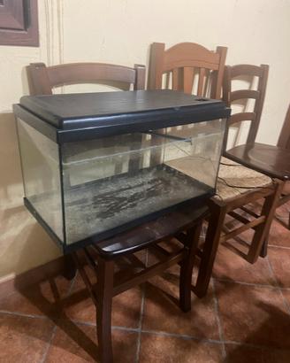 acquario