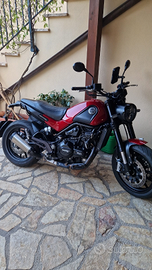 Benelli Leoncino 500