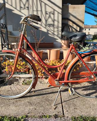 bicicletta donna 