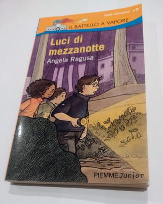 IL BATTELLO A VAPORE 