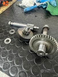 rapporti primari 13 44 malossi