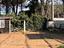 Immagine 15