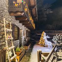Casa vacanze in montagna (2)