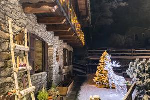 Casa vacanze in montagna (2)