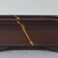 vaso bonsai Tokoname SHIBAKATSU