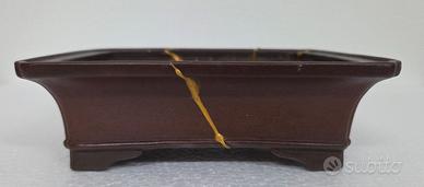 vaso bonsai Tokoname SHIBAKATSU