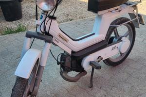 Piaggio Altro modello - 1980