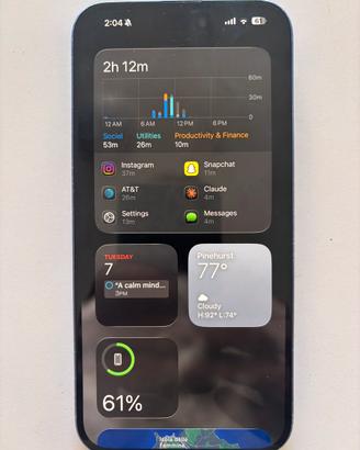 iPhone 16 plus 256 gb leggi descrizione