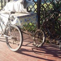 Bici d'epoca