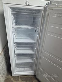 congelatore 