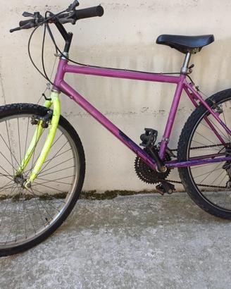 MOUNTAIN BIKE RUOTA 26
