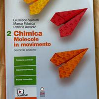 Libro chimica molecole in movimento 2