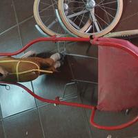 calessino per bambini primi 900