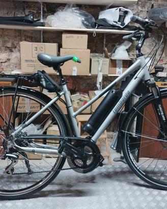 Bici elettrica
