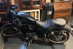 Moto 883 harley davidson special edition