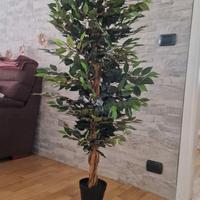 FICUS ARTIFICIALE VERDE 150 cm.