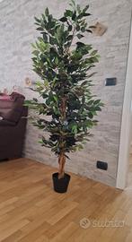 FICUS ARTIFICIALE VERDE 150 cm.