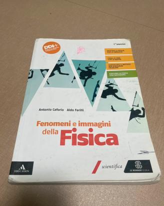 Fenomeni e immagini della fisica
