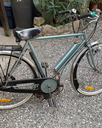 Bicicletta con motore Mosquito