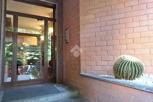 5 LOCALI A ALBANO LAZIALE