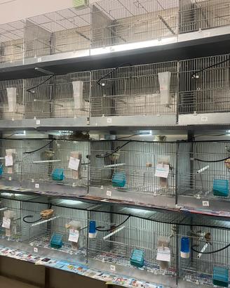 Intero allevamento gabbie e uccelli