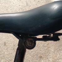 Sella bici Royal Moody