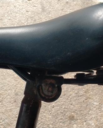 Sella bici Royal Moody