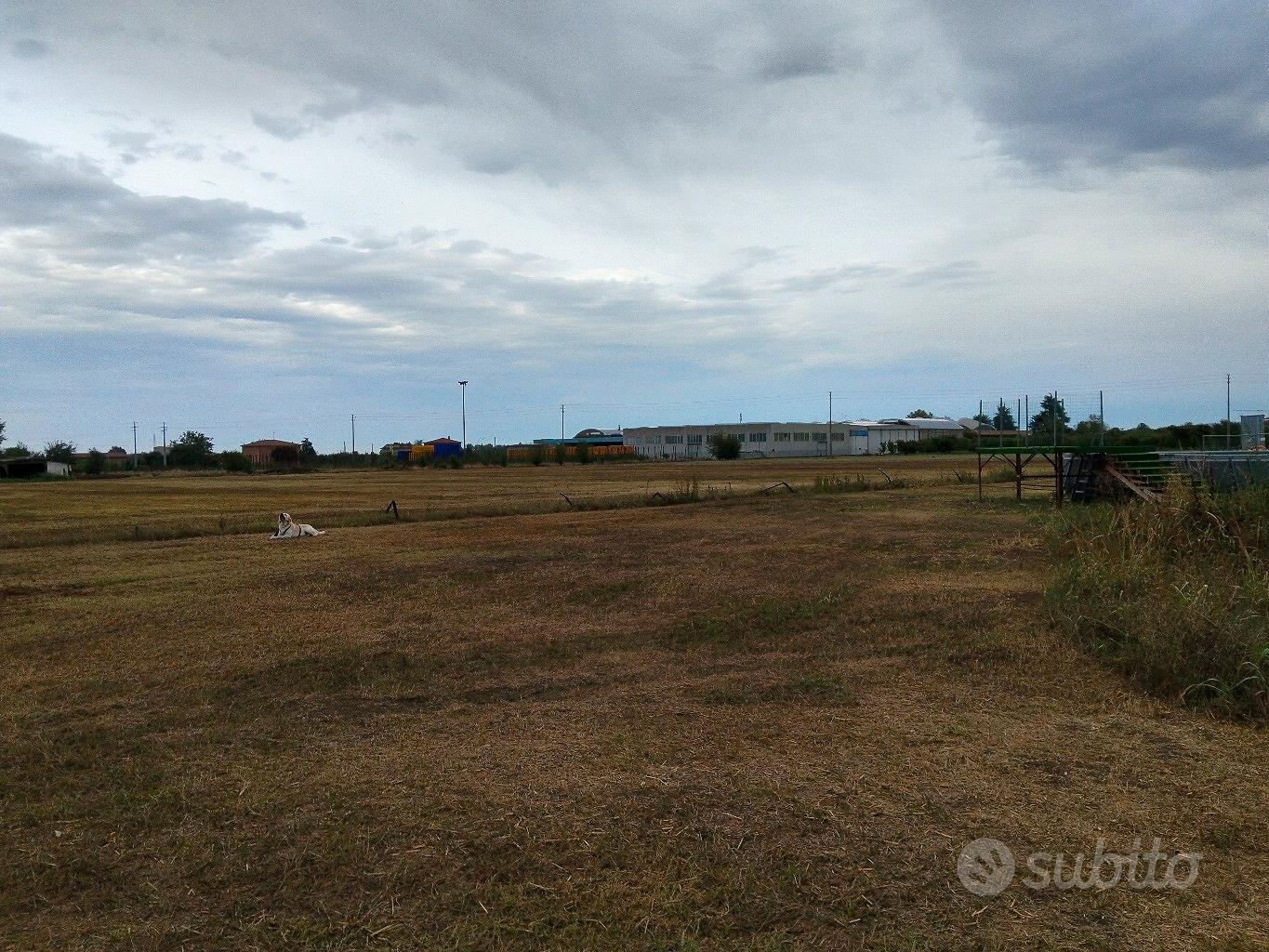 terreno agricolo 22.000 mq - Vista 5