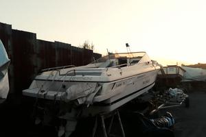 Cranchi endurance 31