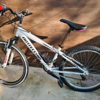 Bottecchia 