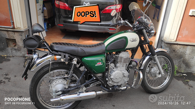 Mash Five Hundred Green 2021