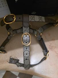 gucci pettorina cane guinzaglio