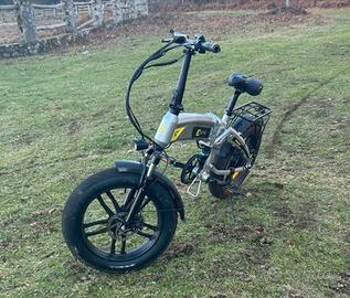 Bicicletta elettrica 250w