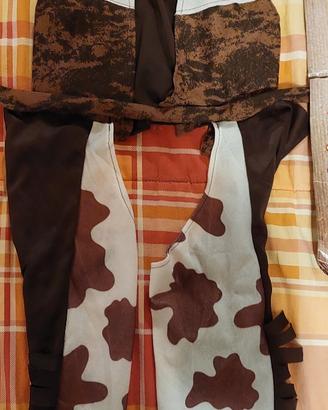 Costume Cowboy bambino