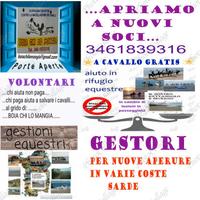 Cavallo ?anche gratis