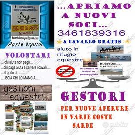 Cavallo ?anche gratis