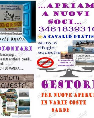 Cavallo ?anche gratis