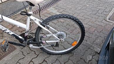 Bicicletta