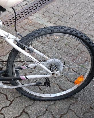 Bicicletta